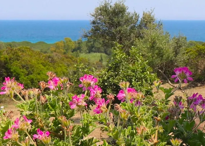 Daire Country Sant' Elene - Olivo *
