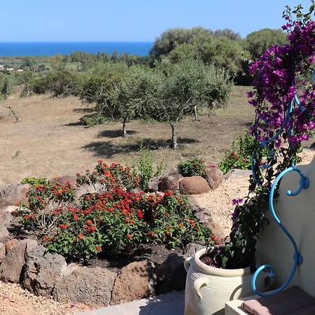 Apartment Country Sant' Elene - Olivo Orosei