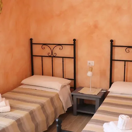 Country Sant' Elene - Olivo *