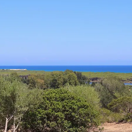 Country Sant' Elene - Olivo Apartment *