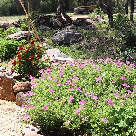 Apartment Country Sant' Elene - Olivo Orosei