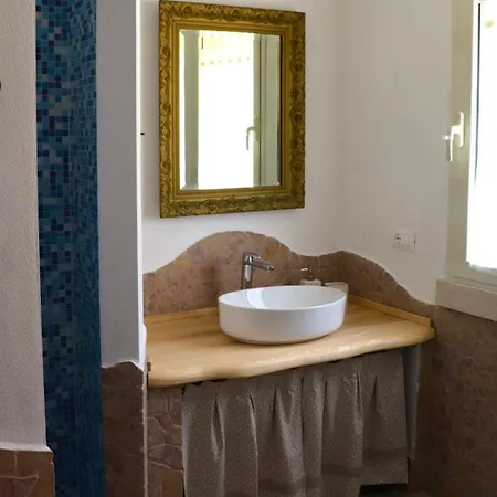 Country Sant' Elene - Olivo *