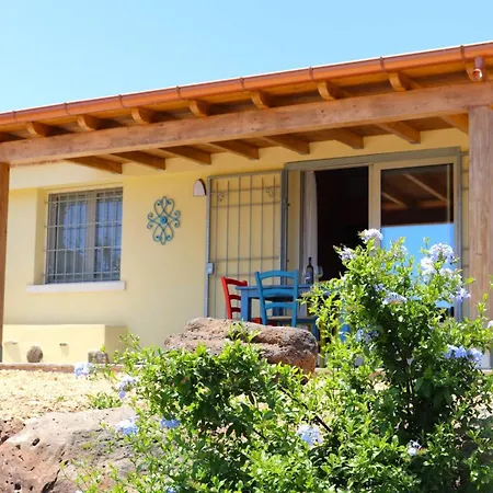 Country Sant' Elene - Olivo * Orosei