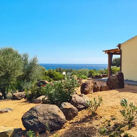 Country Sant' Elene - Olivo * Orosei