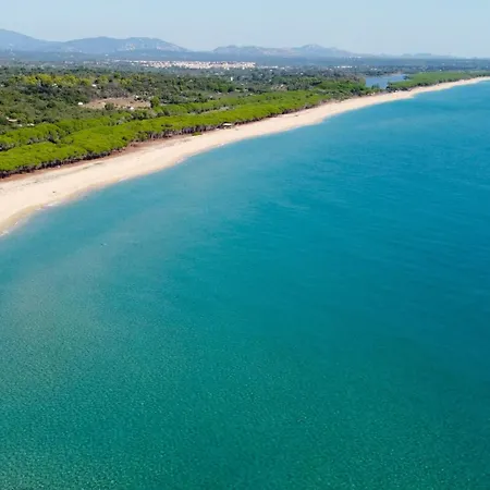 Country Sant' Elene - Olivo