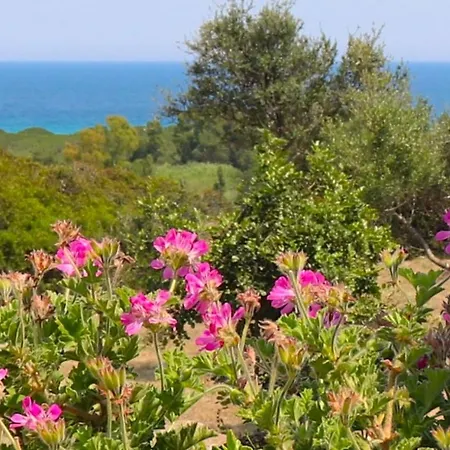 Apartment Country Sant' Elene - Olivo *