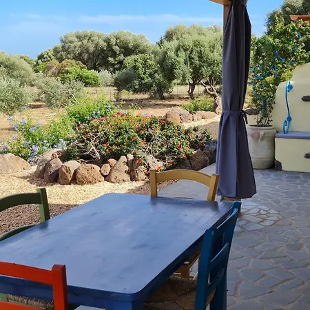 Country Sant' Elene - Olivo * Orosei