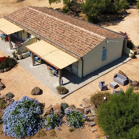 Country Sant' Elene - Olivo *