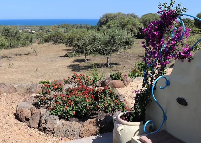 Apartamento Country Sant' Elene - Olivo Orosei