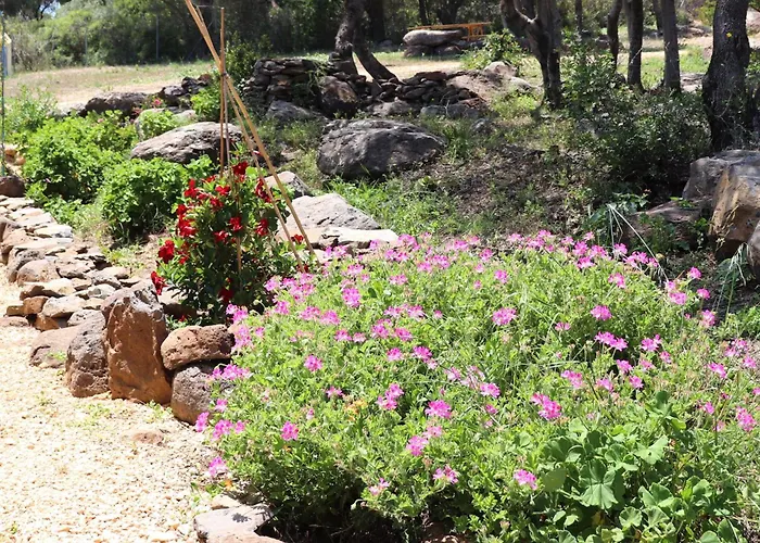 Apartamento Country Sant' Elene - Olivo Orosei